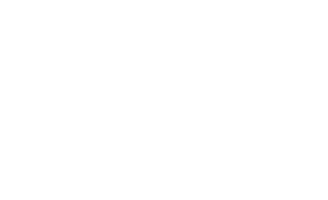 BvN logo v bilem